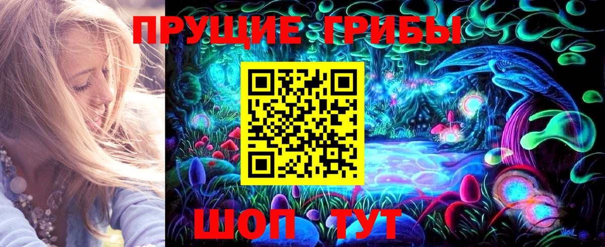 Псилоцибиновые грибы GOLDEN TEACHER Медногорск