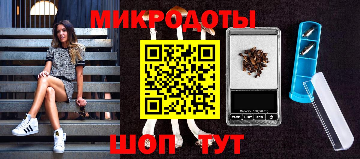 Псилоцибиновые грибы Psilocybe  Вход с VPN  купить наркоту  Медногорск 
